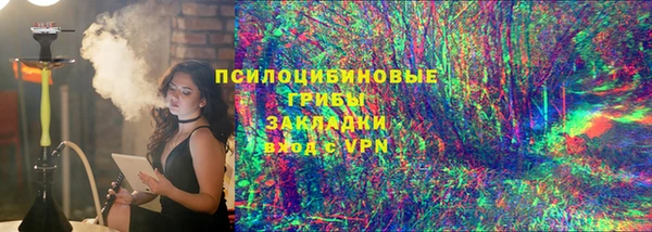 стаф Волоколамск