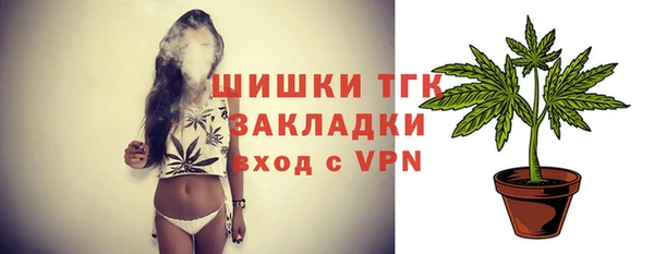 стаф Волоколамск