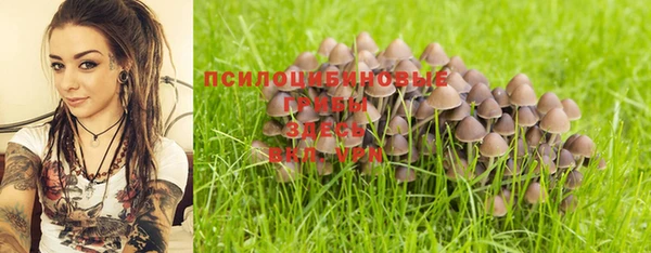 спайс Богородск