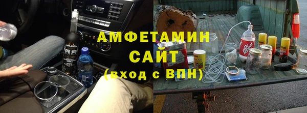 прущие грибы Верея
