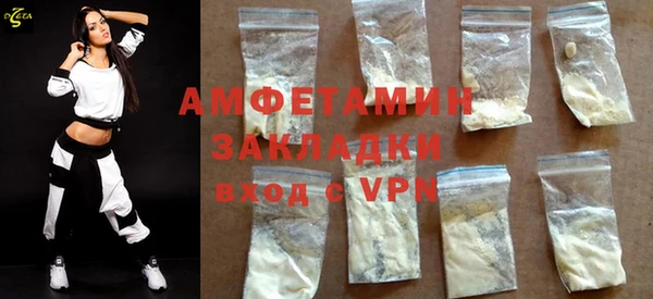 прущие грибы Верея
